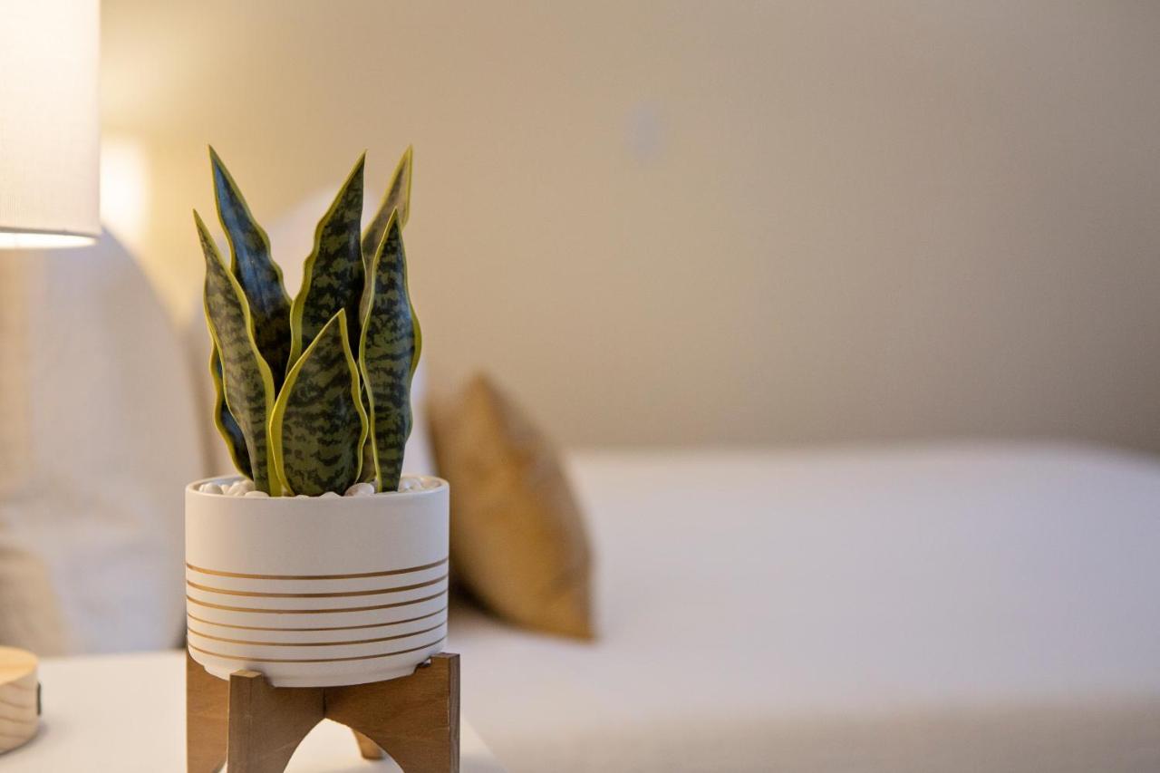 Stirling All Suites Hotel Νέλσον Εξωτερικό φωτογραφία